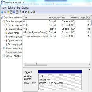 Lacie d2 QUADRA 500Gb