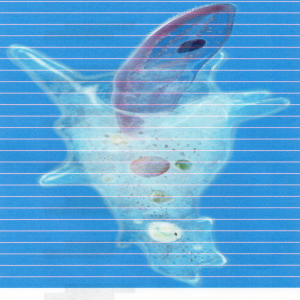 Epson L366