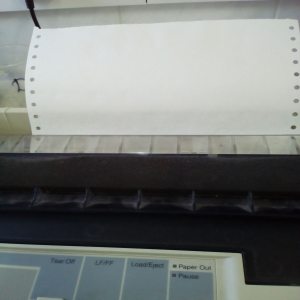 Epson LX-300+