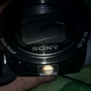 Sony DCR-SX45E Silver