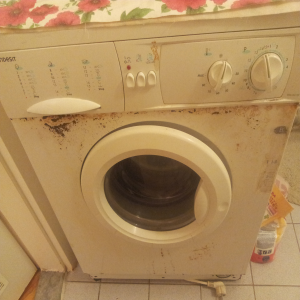 Indesit WG 1031 TX