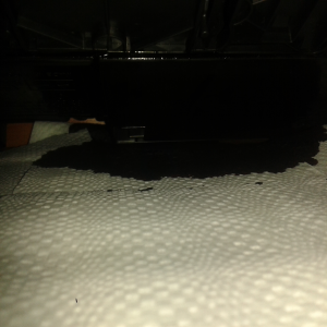 Epson Expression Home XP-306