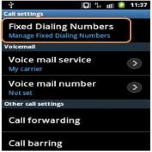 Samsung GT-C3011 Black