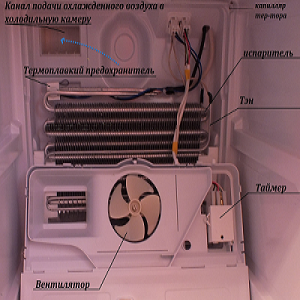 Hotpoint-Ariston ECF 2014 L