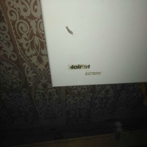 Noirot Spot E-2 1000