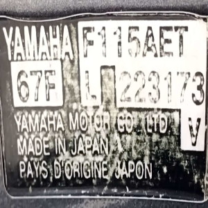 Yamaha F115 AETL