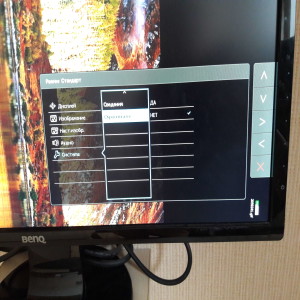 Benq GW2460