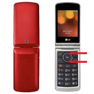 LG G360 Red