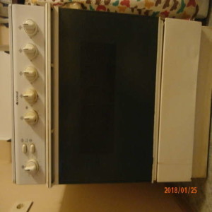 Indesit KN3G21S
