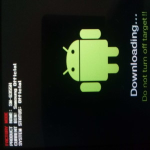 Samsung SM-G355H GALAXY Core 2