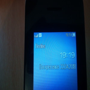 Alcatel 2051D Metal Silver