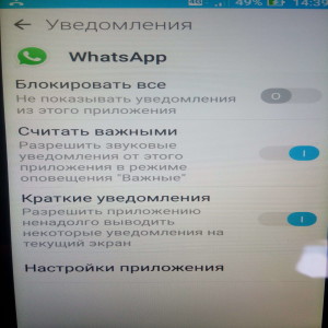 Asus ZenFone 2 Laser (ZE500KL)