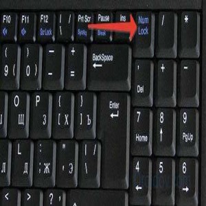 Toshiba Satellite C850D-D6S