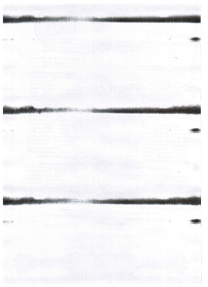 Brother DCP-7055R