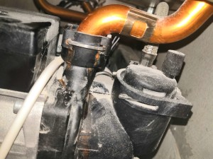 Protherm lynx 24