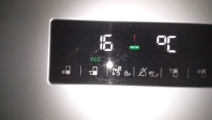 Beko RCNK296E21S