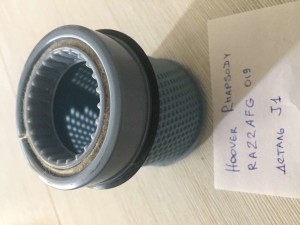 Hoover Rhapsody RA22AFG 019