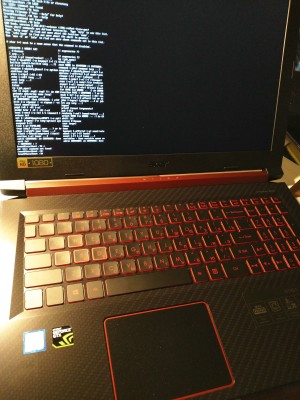 Acer Nitro 5 AN515-52-50VG NH.Q3LER.011