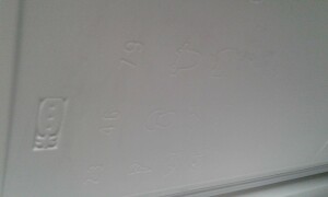 Indesit SFR 100