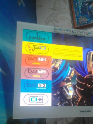 Shivaki STV-24LEDGW9