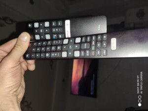 Tcl L55P6US