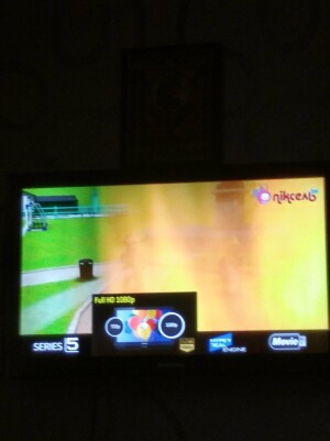 Tcl L43S6FS