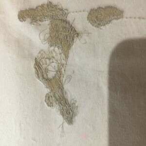 Bernina Artista 730