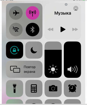 Apple iPhone SE 32Gb SPACE GRAY