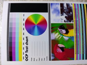 Epson STYLUS PHOTO P50