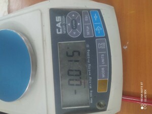 CAS MWP-300