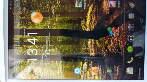 Acer A1-810 NT.L1CEE.001 (81251G01nw)