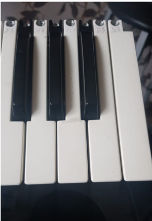 Korg PA60