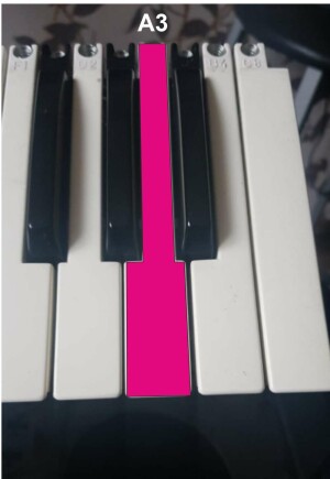 Korg PA60