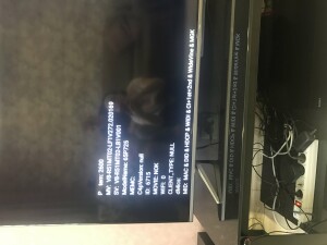 Tcl L43S6FS