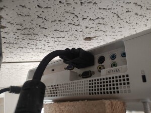 IMG_20220505_165248.jpg