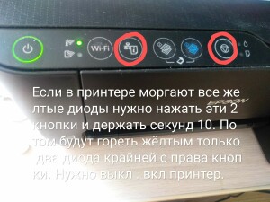 IMG_20220606_111315~2.jpg