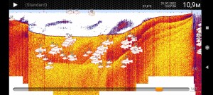 Screenshot_2022-08-01-08-38-20-758_com.fridaylab.deeper.jpg