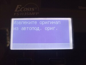 IMG_20221010_162929.jpg