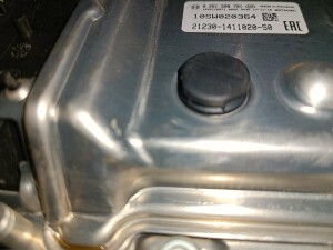 IMG_20221012_101329.jpg