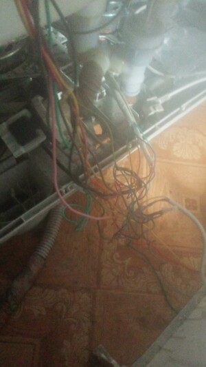 IMG-20230122-WA0021.jpeg