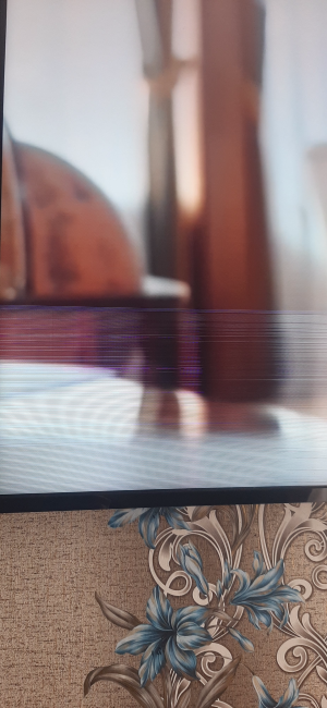 20230305_110815.heic