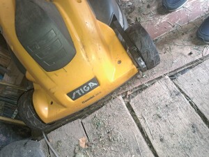 20230731_155933.jpg