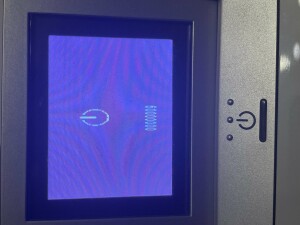 IMG_2736.jpeg
