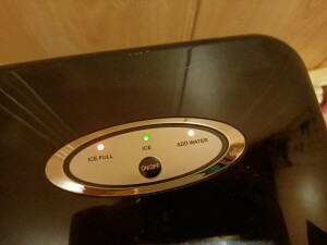 IMG_2035.jpeg