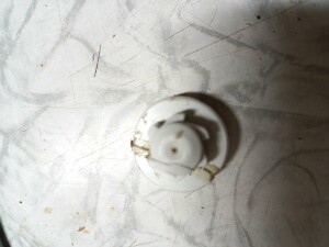 IMG_20230925_200130.jpg