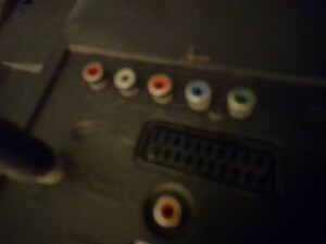 20231027_084038.jpg