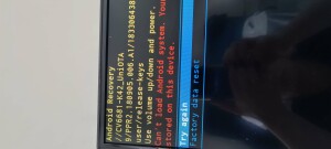 17015943922402942642420049736737.jpg