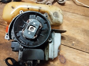 IMG_20231211_132854.jpg