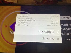 IMG_0059.jpeg