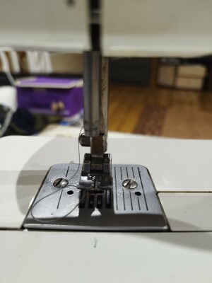 IMG_20240110_004733.jpg